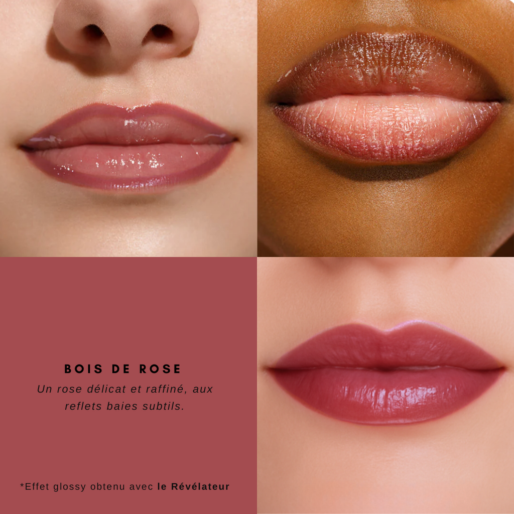 Encre à lèvres semi-permanente et son Révélateur